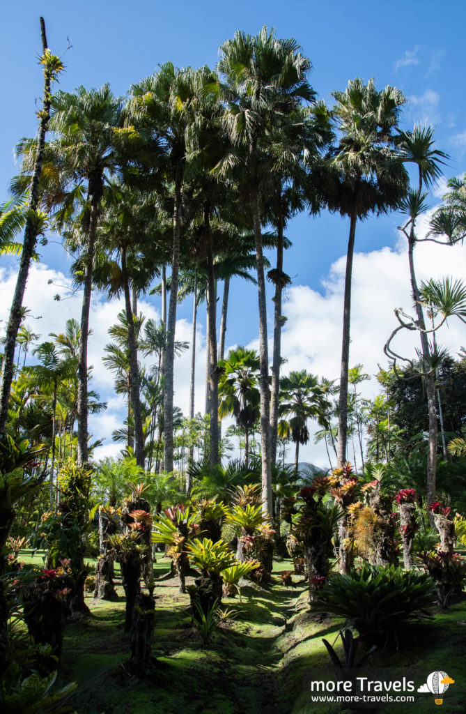 Jardin de Baklata - ogród botaniczny na Martynice