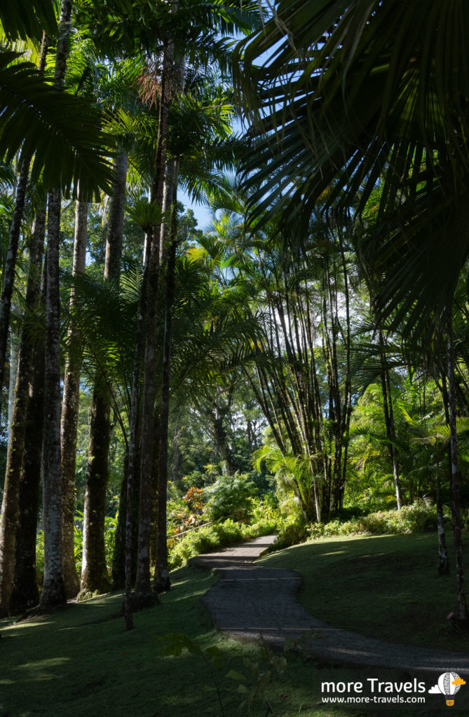 Ogród botaniczny Jardin de balata