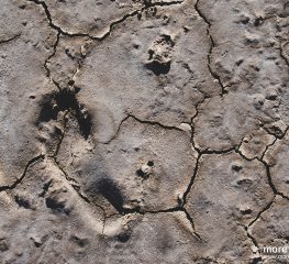 Petrification Savannah – Treking po Martynice