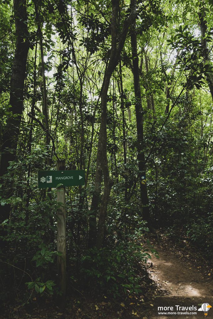 Treking na Martynice De La Caravelle