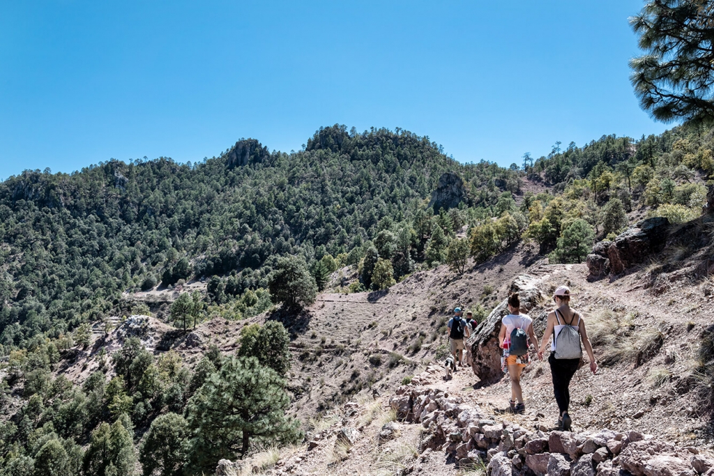 Trekking w Copper Canyon