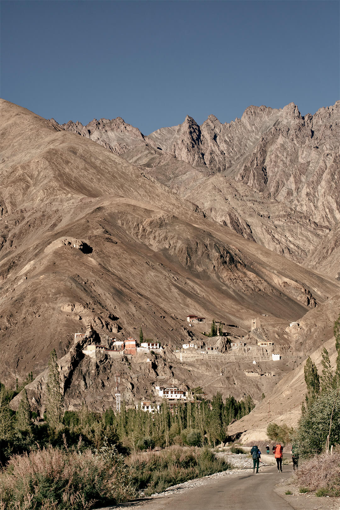 Wanla - Ladakh